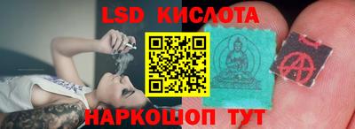 прущие грибы Ярцево